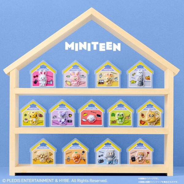 img_5766 預購|MINITEEN 食玩盲盒